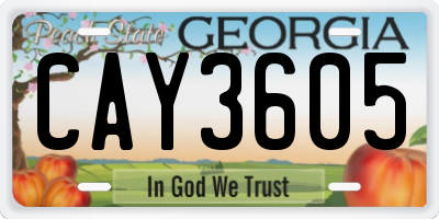 GA license plate CAY3605
