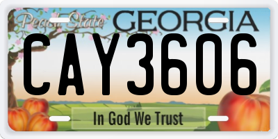 GA license plate CAY3606