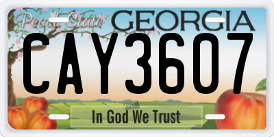 GA license plate CAY3607