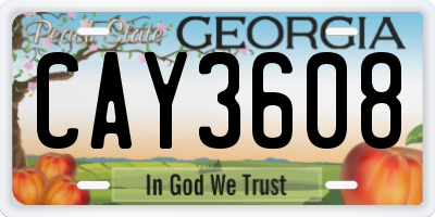 GA license plate CAY3608