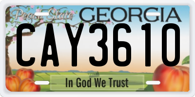 GA license plate CAY3610