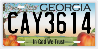 GA license plate CAY3614