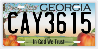 GA license plate CAY3615