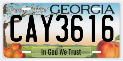 GA license plate CAY3616