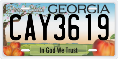 GA license plate CAY3619