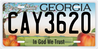GA license plate CAY3620