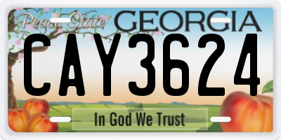 GA license plate CAY3624