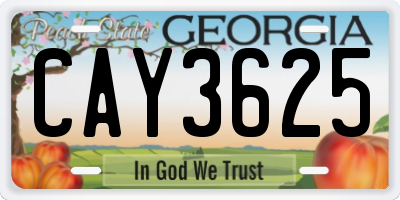 GA license plate CAY3625