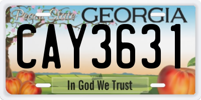 GA license plate CAY3631