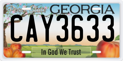GA license plate CAY3633