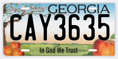 GA license plate CAY3635