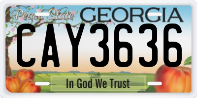 GA license plate CAY3636
