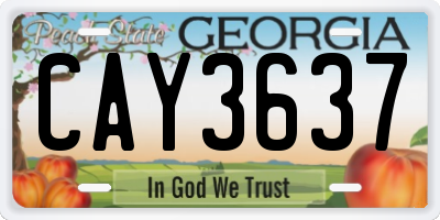 GA license plate CAY3637