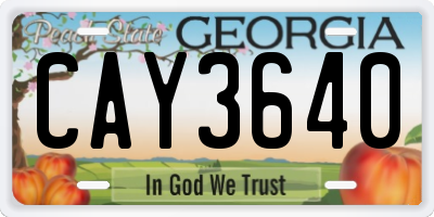 GA license plate CAY3640