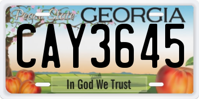 GA license plate CAY3645