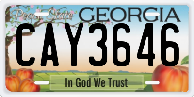 GA license plate CAY3646