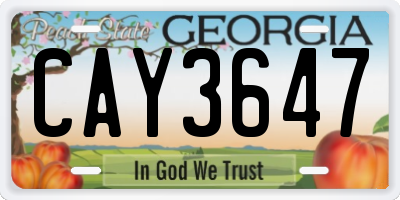 GA license plate CAY3647