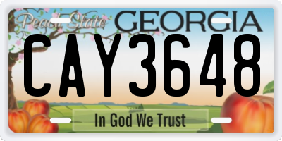 GA license plate CAY3648