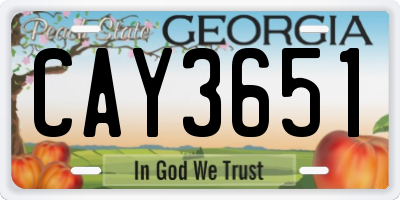 GA license plate CAY3651