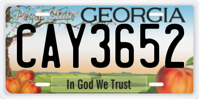GA license plate CAY3652