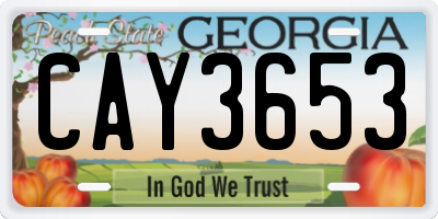 GA license plate CAY3653
