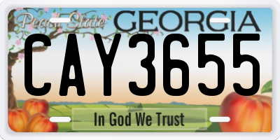 GA license plate CAY3655