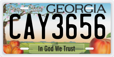 GA license plate CAY3656