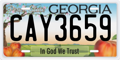 GA license plate CAY3659