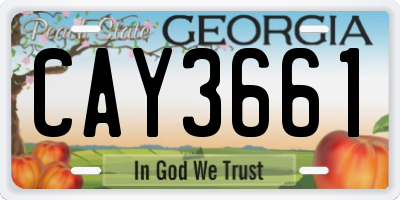 GA license plate CAY3661