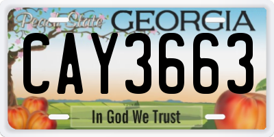 GA license plate CAY3663
