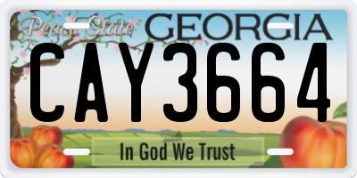 GA license plate CAY3664