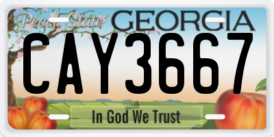 GA license plate CAY3667