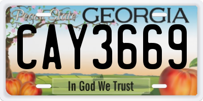 GA license plate CAY3669