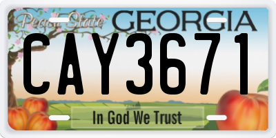 GA license plate CAY3671