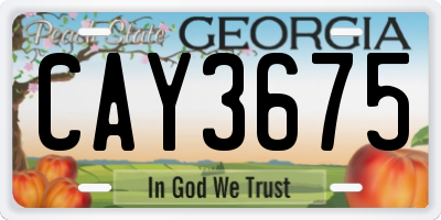 GA license plate CAY3675