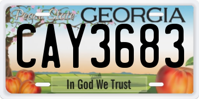 GA license plate CAY3683