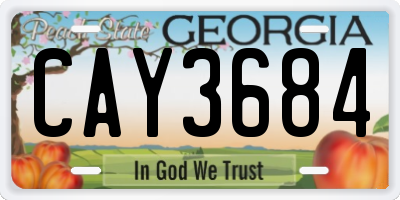 GA license plate CAY3684