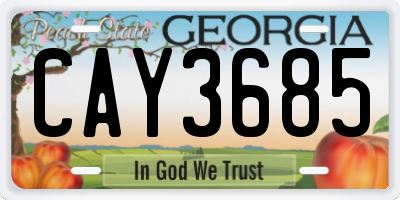 GA license plate CAY3685