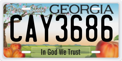 GA license plate CAY3686