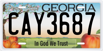GA license plate CAY3687