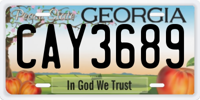 GA license plate CAY3689