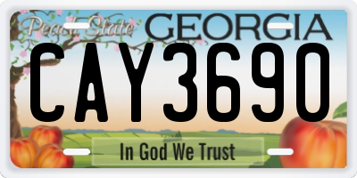 GA license plate CAY3690