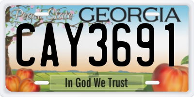 GA license plate CAY3691
