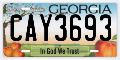 GA license plate CAY3693