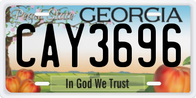 GA license plate CAY3696