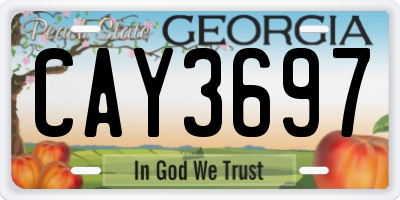 GA license plate CAY3697