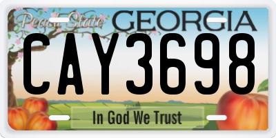 GA license plate CAY3698