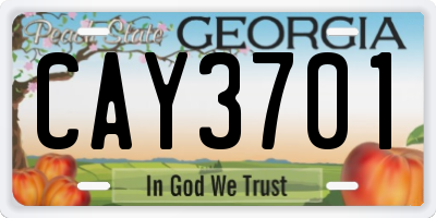 GA license plate CAY3701