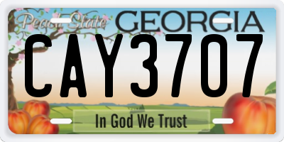 GA license plate CAY3707