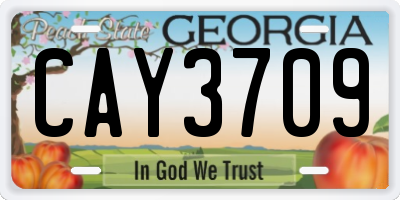GA license plate CAY3709